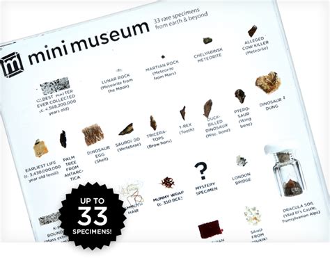 where to buy mini museum.